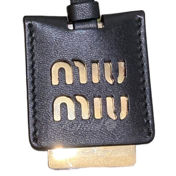 8045000788819 7 Miu Miu Matlasse Mini Chain Shoulder Bag