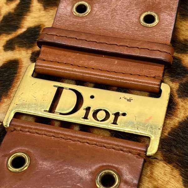 IMG 2261 Dior Street Chic Hobo Leopard Print Pony hair Calfskin