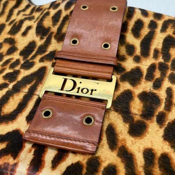 IMG 2262 Dior Street Chic Hobo Leopard Print Pony hair Calfskin