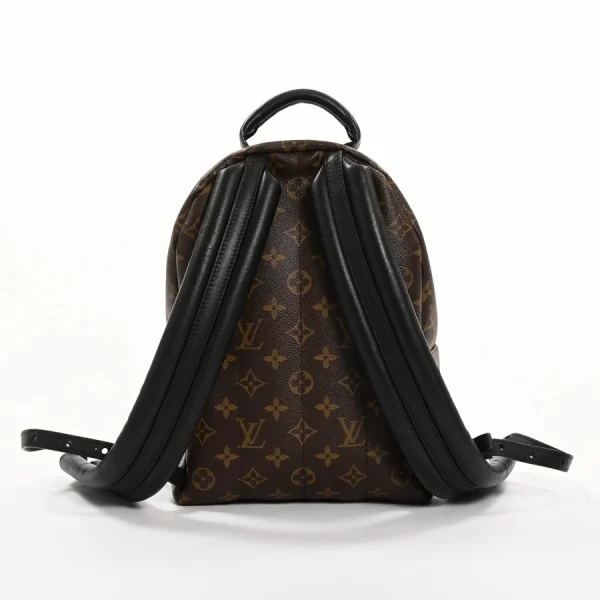 6103186 3 Louis Vuitton Palm Springs Backpack PM Backpack Rucksack