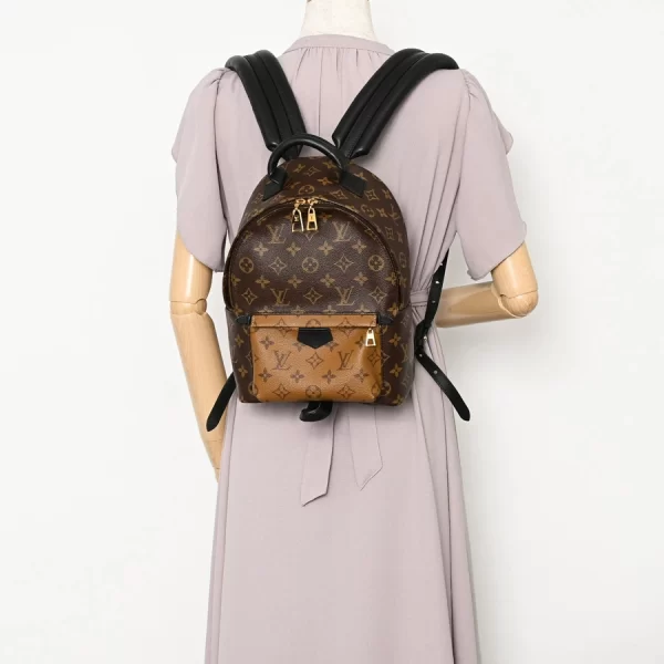 6103186 6 Louis Vuitton Palm Springs Backpack PM Backpack Rucksack