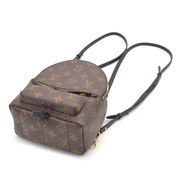 4 Louis Vuitton Palm Springs Backpack Mini Monogram canvas Rucksack Brown