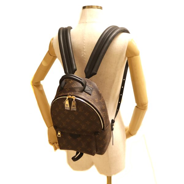 c21 4743 6 Louis Vuitton Palm Springs Backpack PM Monogram Canvas Leather Brown x Black