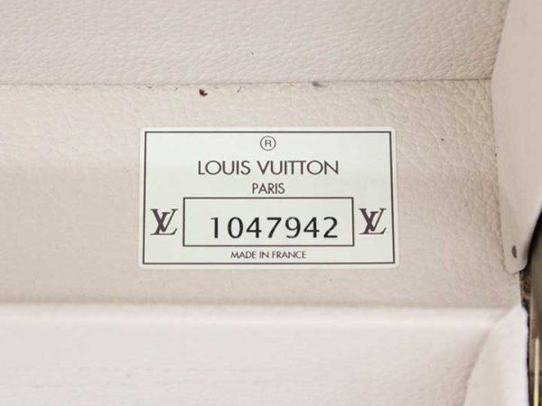 0050 Louis Vuitton Alzer 70 Trunk Case Brown