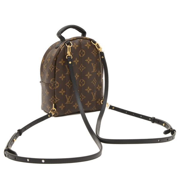 005245031 2 Louis Vuitton Monogram Palm Springs Backpack Mini