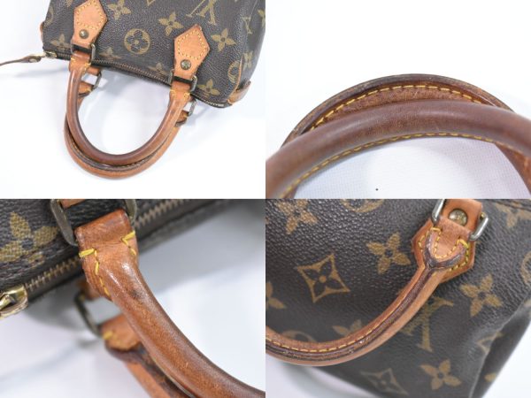 2100020000002500 5 Louis Vuitton Mini Speedy Monogram Handbag Pouch