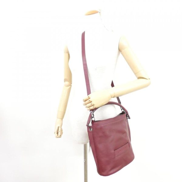 2700037294318 7 b Longchamp 3D Shoulder Bag Raisin