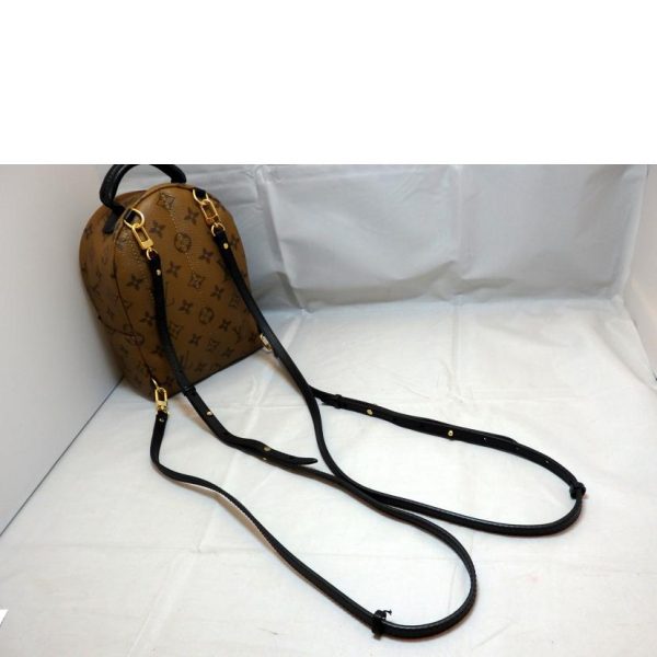 27730 4 Louis Vuitton Palm Spring Backpack Mini Bag Brown