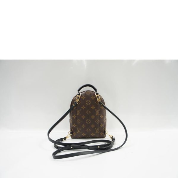 31586 2 Louis Vuitton Palm Springs Pack Monogram Brown