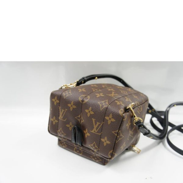 31586 3 Louis Vuitton Palm Springs Pack Monogram Brown