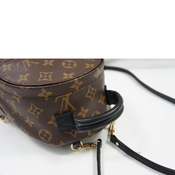 31586 4 Louis Vuitton Palm Springs Pack Monogram Brown