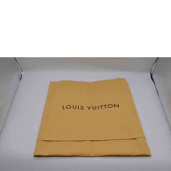 60796 6 Louis Vuitton Raspail PM Monogram