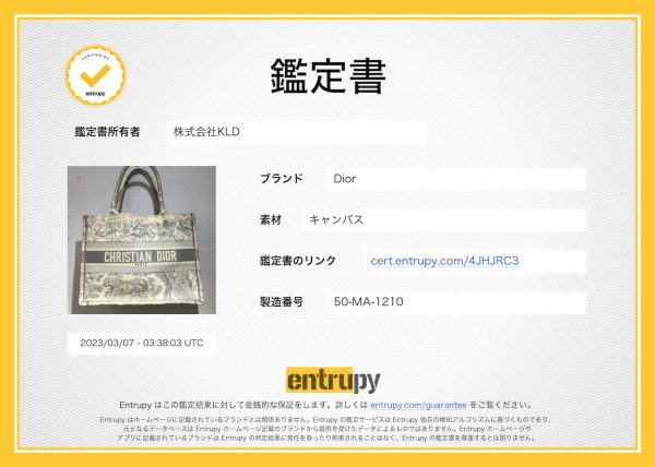 gay9ojarz8nq 10 Dior Toile De Jouy Jacquard Book Tote Bag