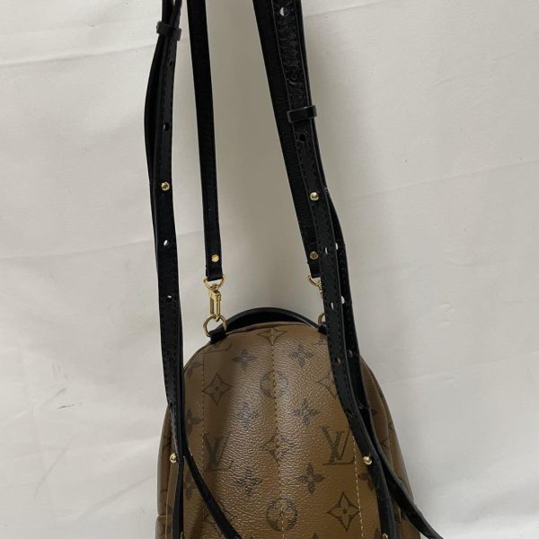 m16501788771 17 Louis Vuitton Palm Springs Mini Backpack