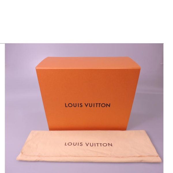 00859 6 Louis Vuitton Paras Monogram