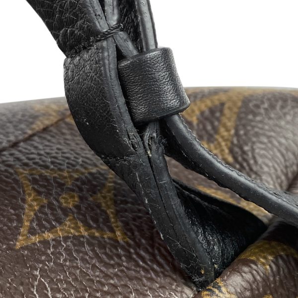 1000062693898 17 Louis Vuitton Palm Springs Backpack MM Monogram Brown