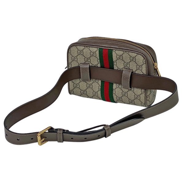 1000066569984 12 Gucci Ophidia Small GG Belt Bag Sherry Line GG Marmont Body Bag GG Supreme Beige