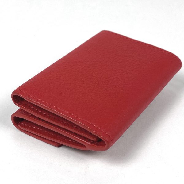 1000070049267 12 Louis Vuitton Feuille Mini Red