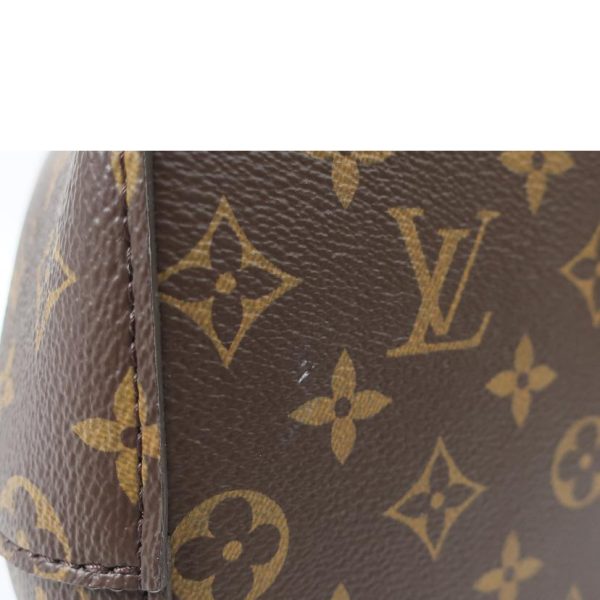 11612 8 Louis Vuitton Neonoe Monogram Handbag Brown