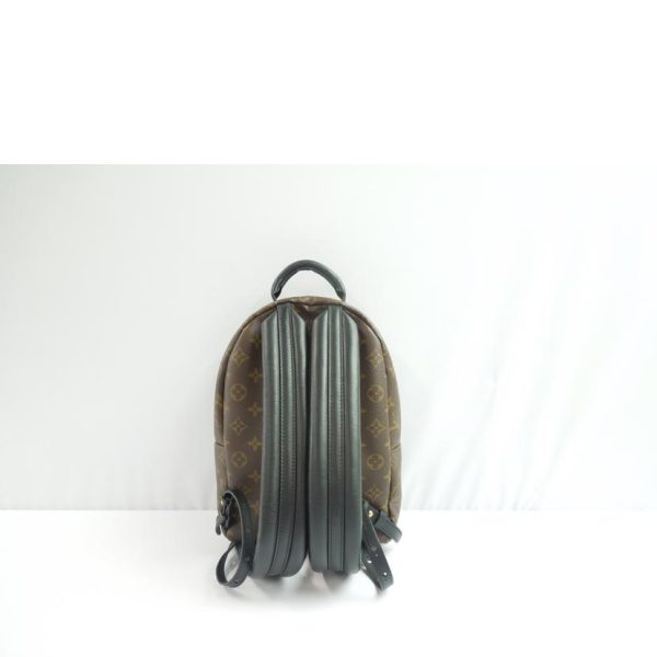 19851 2 Louis Vuitton Palm Springs Backpack PM Monogram Brown