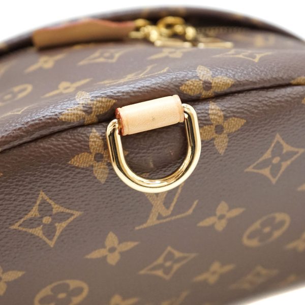 21 7671 5 Louis Vuitton Bum Body Bag Waist Brown