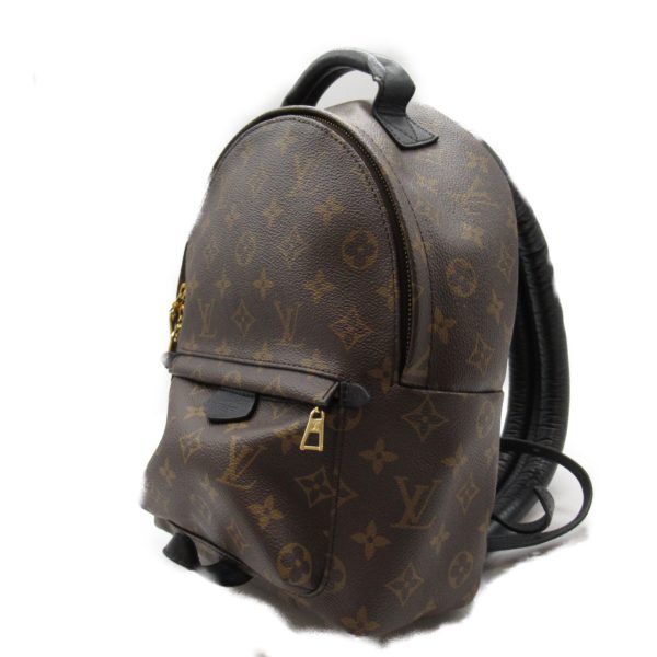 2101217745796 3 Louis Vuitton Palm Springs Backpack PM Brown