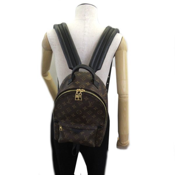 2118400129851 5 Louis Vuitton Palm Springs Backpack PM Brown