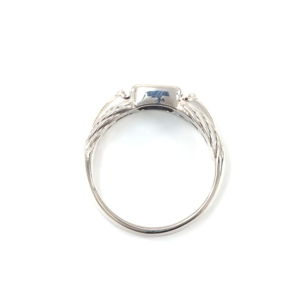 3103167 20n 5 Tanzanite Ring Silver White Gold