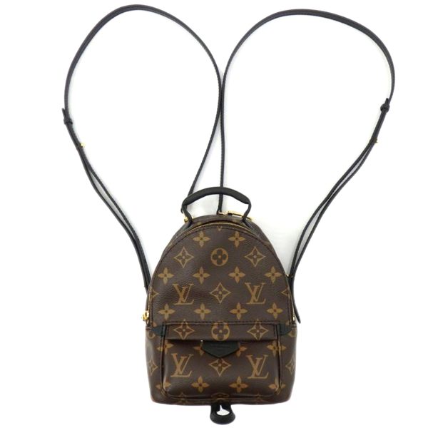 31945 1 Louis Vuitton Palm Springs monogram Backpack Brown