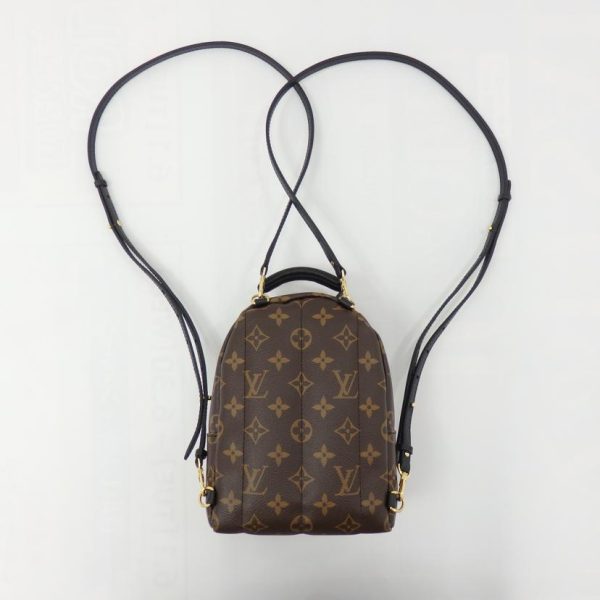 31945 2 Louis Vuitton Palm Springs monogram Backpack Brown