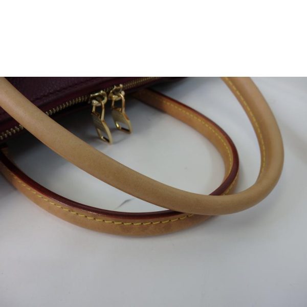 32109 6 Louis Vuitton Palas Monogram Handbag Brown