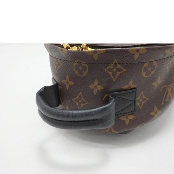 35369 7 Louis Vuitton Palm Springs Backpack PM Monogram