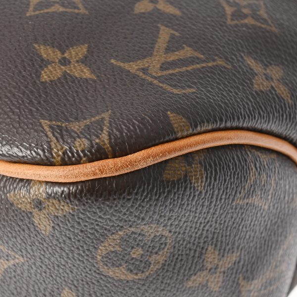 800000123350000 7 Louis Vuitton Delightful Pm Monogram Shoulder Bag Brown