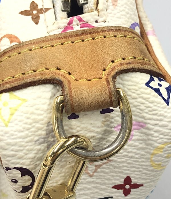 aol0129525 5 Louis Vuitton Pouch Truth Wapiti Multicolor