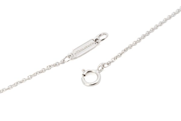 compass1682149263 Tiffany Co Signature Diamond Accessory Pendant White Gold