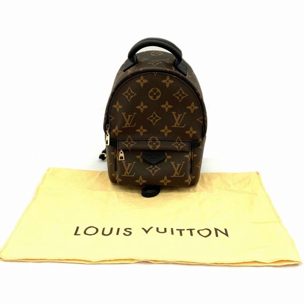 imgrc0084336313 Louis Vuitton Palm Springs Back Mini Monogram Shoulder Pack Bag Brown