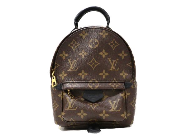 imgrc0095843538 Louis Vuitton Palm Springs Backpack Brown Black