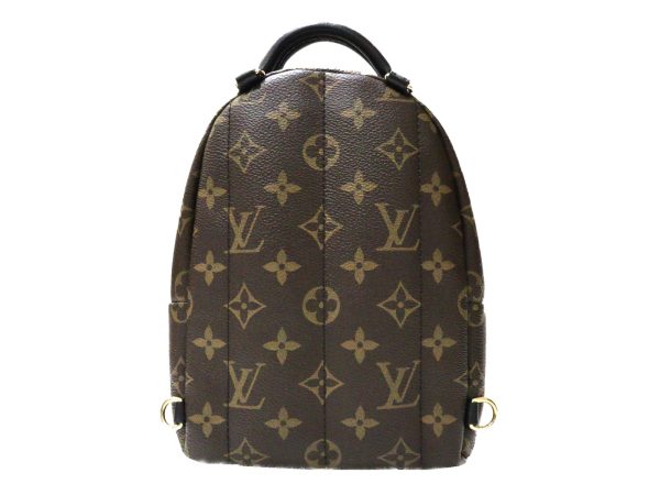 imgrc0095843543 Louis Vuitton Palm Springs Backpack Brown Black