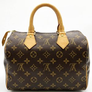 it4p7aae7hdk 1 Louis Vuitton Alma Damier Ebene