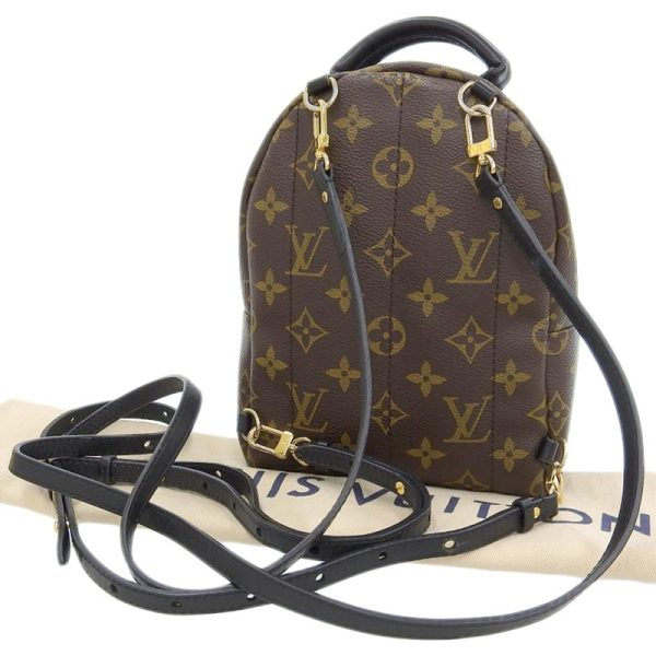 lv1561 2 Louis Vuitton Monogram Palm Springs Backpack