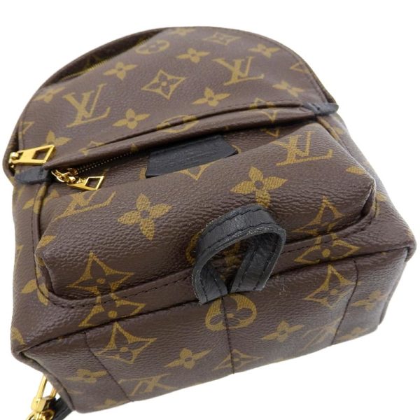 lv1561 3 Louis Vuitton Monogram Palm Springs Backpack