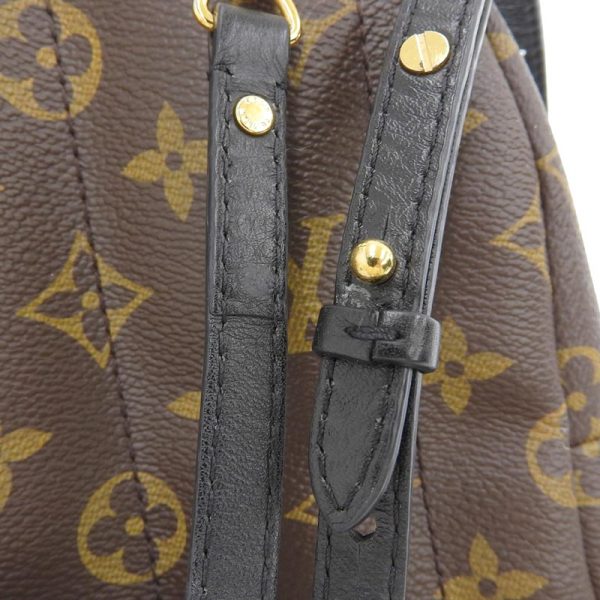 lv1561 6 Louis Vuitton Monogram Palm Springs Backpack