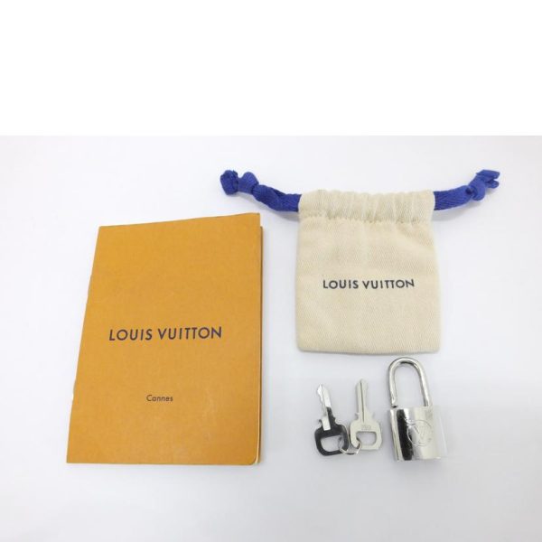 14373 6 Louis Vuitton Cannes Louis Epi Bag Silver x Black