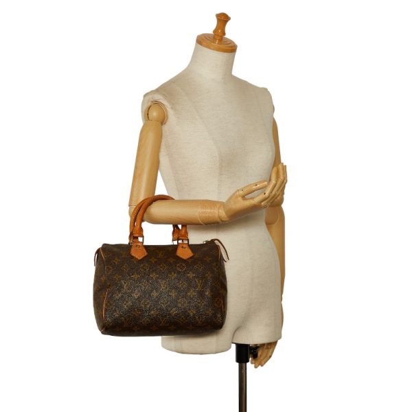 228 42071 12 Louis Vuitton Monogram Speedy 25 Mini Bag M41109 Brown