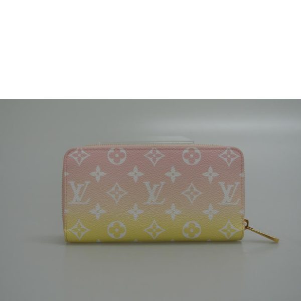 39931 1 Louis Vuitton Zippy Wallet Visor Pool