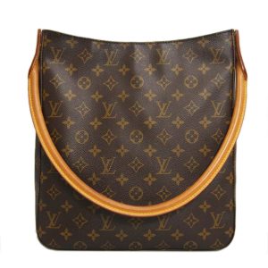 41125 1 Louis Vuitton Speedy Monogram Bag Brown