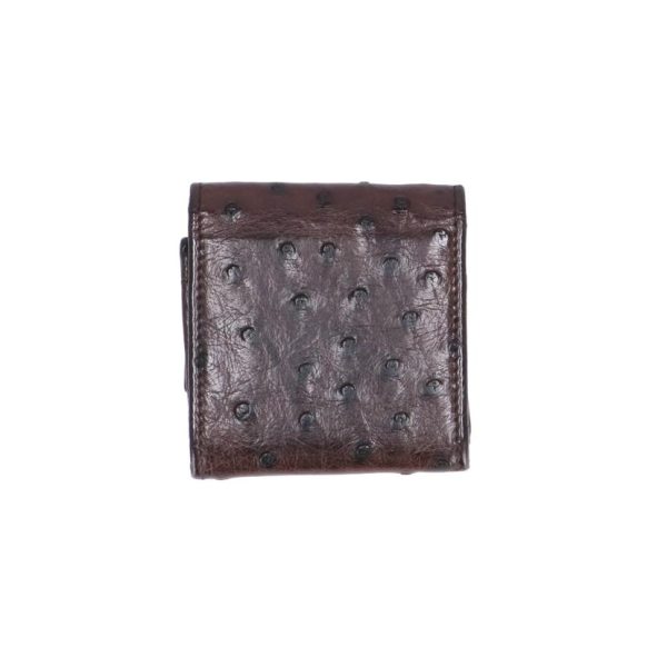 61435 2 Gucci Ostrich Coin Case Brown