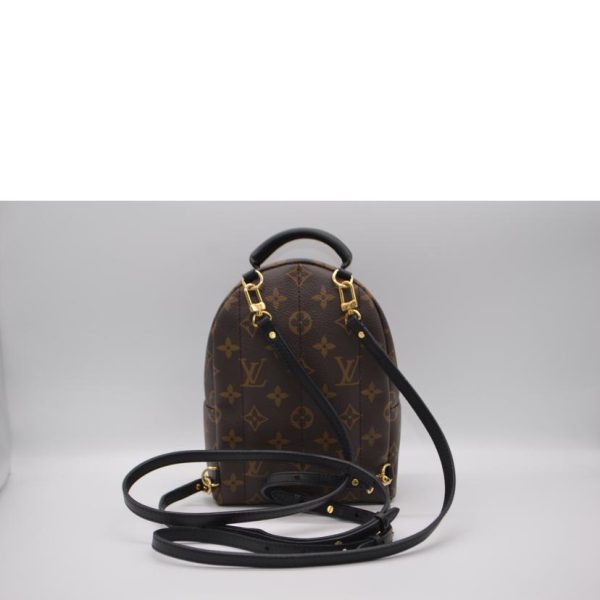 89689 2 Louis Vuitton Palm Springs Backpack Mini Monogram Bag