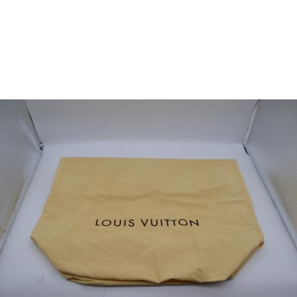 89825 6 Louis Vuitton Hippo PM Iol Aventure Handbag