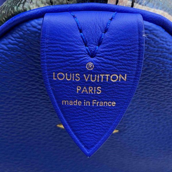 9182530 12 Louis Vuitton Speedy 30 Handbag Masters Collection